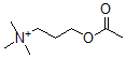 CAS 登录号：10172-82-4， 乙酰基高胆碱