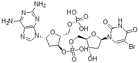 CAS 登录号:104576-80-9, 聚(2-氨基脱氧腺嘌呤基-5-溴脱氧尿苷酸)