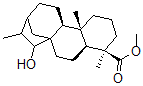 CAS 登录号：106818-49-9， 15-羟基二氢贝壳杉烯酸甲酯
