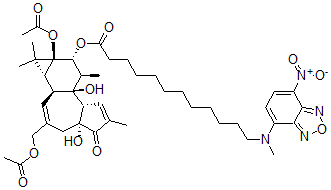 CAS 登录号:137034-69-6, 佛波醇-13-乙酸酯-12-N-甲基-N-4-(N,N'-二(2-羟基乙基)氨基)-7-硝基苯并-2-氧杂-1,3-二氮唑-氨基月桂酸酯