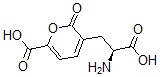 CAS 登录号：17388-96-4， (alphas)-alpha-氨基-6-羧基-2-氧代-2H-吡喃-3-丙酸