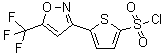 CAS 登录号：229956-98-3， 5-[5-(三氟甲基)-1,2-恶唑-3-基]-2-噻吩磺酰氯