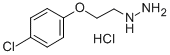 CAS 登录号：69782-24-7， 1-(2-(4-氯苯氧基)乙基)肼