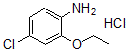 CAS 登录号：858855-49-9， 4-氯-2-乙氧基-苯胺盐酸盐(1:1)