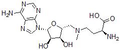 CAS 登录号:111770-79-7, N(4)-腺苷-N(4)-甲基-2,4-二氨基丁酸