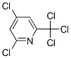 CAS#: 1129-19-7, 2,4-Dichloro-6-(Trichloromethyl)Pyridine