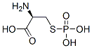 CAS#: 115562-30-6, S-Phosphocysteine