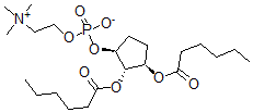 CAS 登录号：117549-94-7， [(1S,2S,3R)-2,3-二(己酰氧基)环戊基]2-三甲基铵乙基磷酸酯盐
