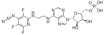 CAS 登录号:119304-29-9, N(6)-(N((4-叠氮基-3,5,6-三氟)吡啶-2-基)-2-氨基乙基)腺苷5'-单磷酸酯