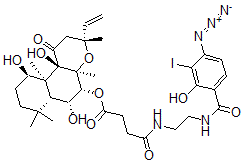 CAS 登录号：121878-20-4， 3'-碘-4'-叠氮基水杨酰胺基乙基酰胺基-7-丁二酰去乙酰基毛喉素