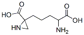 CAS#: 125509-89-9, 2-(4-Amino-5-Hydroxy-5-Oxopentyl)Aziridine-2-Carboxylic Acid