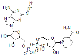 CAS 登录号:126609-61-8, 2-叠氮基腺苷二核苷酸