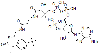 CAS 登录号：135027-64-4， 布洛芬基-辅酶A