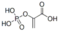 CAS#: 138-08-9, 2-(Phosphonooxy)-2-Propenoic Acid