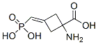 CAS#: 140480-88-2, 1-Amino-3-(Phosphonomethylidene)Cyclobutane-1-Carboxylic Acid