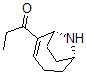 CAS 登录号：142926-86-1， 1-[(1R,6R)-9-氮杂双环[4.2.1]壬-4-烯-5-基]丙-1-酮