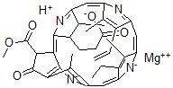 CAS 登录号：14897-06-4， 脱植基叶绿素A