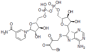 CAS 登录号:154591-46-5, 8-(4-溴-2,3-二氧代丁硫基)烟酰胺腺嘌呤二核苷酸