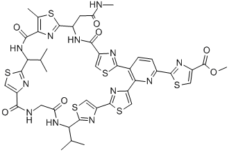 CAS 登录号：156620-46-1， Amythiamicin D