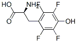 CAS 登录号:157807-83-5, (2R)-2-氨基-3-(2,3,5,6-四氟-4-羟基苯基)丙酸