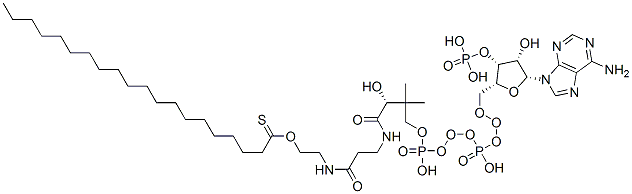 CAS 登录号：15895-27-9， (C20:0)辅酶A