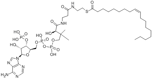 CAS#: 1716-06-9, cis-9-Octadecenoyl Coenzyme A Potassium Salt
