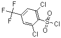 CAS # 175205-76-2, 2,6-Dichloro-4-(Trifluoromethyl)-Benzenesulfonylchloride