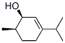 CAS#: 18675-27-9, 6-Methyl-3-Propan-2-Ylcyclohex-2-En-1-Ol