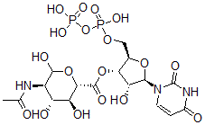 CAS 登录号:21654-37-5, 尿苷-N-乙酰基葡萄糖胺糖醛酸