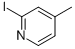 CAS#: 22282-60-6, 2-Iodo-4-Methyl-Pyridine