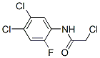 CAS 登录号：23554-66-7， 2'-氟-2,4',5'-三氯乙酰苯胺