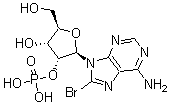 CAS#: 23583-49-5, 8-Bromo-2'-Amp