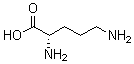 CAS#: 25104-12-5, Polyornithine