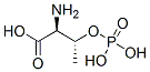 CAS#: 27530-80-9, O-Phospho-DL-Threonine