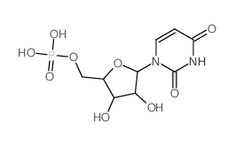 CAS 登录号:28086-43-3, 聚尿甙酸(5')钾盐
