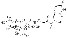 CAS#: 28508-02-3, Uridine Diphosphate N-Acetyl-D-Glucosamine, [Glucosamine-14C]