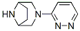 CAS#: 286944-34-1, 3-(3-Pyridazinyl)-3,8-Diazabicyclo[3.2.1]Octane