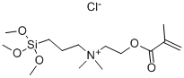 CAS#: 31681-13-7, 2-Methacryloxyethyldimethyl(3-Trimethoxysilylpropyl)Ammonium Chloride