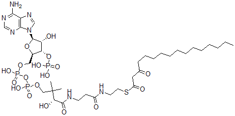CAS 登录号：34619-89-1， S-[2-[3-[[(2R)-4-[[[(2R,3S,4R,5R)-5-(6-氨基嘌呤-9-基)-4-羟基-3-膦酰氧基四氢呋喃-2-基]甲氧基-羟基磷酰]氧基-羟基磷酰]氧基-2-羟基-3,3-二甲基丁酰基]氨基]丙酰氨基]乙基]3-氧代硫代十六烷酸酯