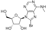 CAS 登录号：37116-71-5， 8-溴-N-甲基-腺苷
