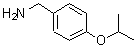 CAS 登录号：387350-82-5， 1-(4-异丙氧基苯基)甲胺
