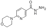 CAS 登录号：388088-71-9， 6-吗啉基烟酰肼