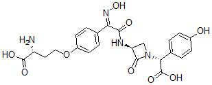 CAS 登录号：39391-39-4， (2R)-2-氨基-4-[4-[N-羟基-C-[[(3S)-1-[(1R)-2-羟基-1-(4-羟基苯基)-2-氧代乙基]-2-氧代氮杂环丁-3-基]氨基甲酰]亚氨甲酰]苯氧基]丁酸
