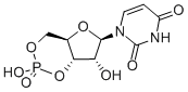 CAS 登录号:4004-57-3, 尿苷 3',5'-环单磷酸酯
