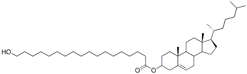 CAS 登录号：40445-72-5， 胆固醇羟基硬脂酸酯