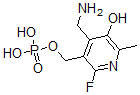CAS 登录号：42242-44-4， 6-氟吡哆胺5'-磷酸酯