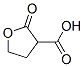 CAS#: 4360-91-2, 2-Oxooxolane-3-Carboxylic Acid