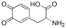 CAS 登录号:4430-97-1, 2-氨基-3-(3,4-二氧代-1-环己-1,5-二烯基)-丙酸