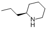CAS#: 458-88-8, Coniine