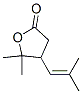 CAS#: 473-50-7, 4,5-Dihydro-5,5-Dimethyl-4-(2-Methyl-1-Propenyl)Furan-2(3H)-One